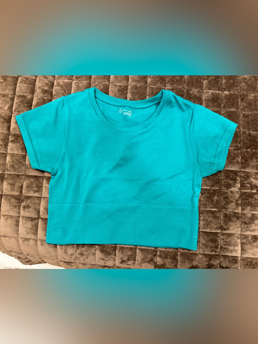 aerie Green Crop Top